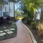 Sea Mist Palms